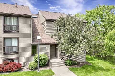1145 Canyon View Road, Sagamore Hills, OH 44067