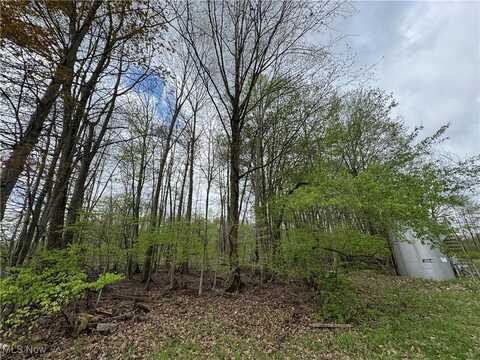 V/L State Line Road, Conneaut, OH 44030