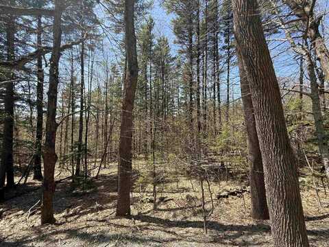 Lot 3 North Street, Dover, VT 05431