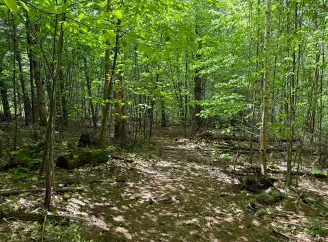 Lot 4 North Street, Dover, VT 05431