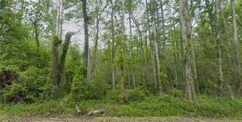TRAINO Road, Ponchatoula, LA 70454