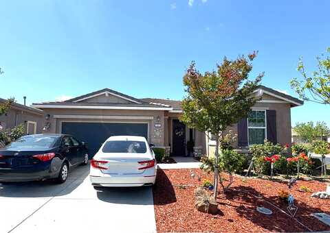 David Lamoree, RIO VISTA, CA 94571