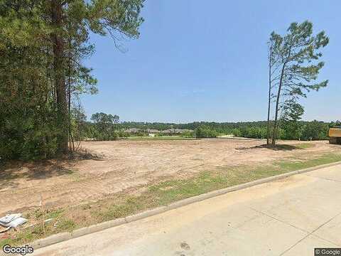 Plumbago, CONROE, TX 77304