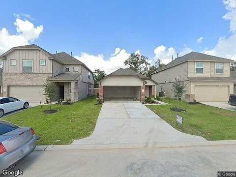 Italian Cypress, HOUSTON, TX 77044