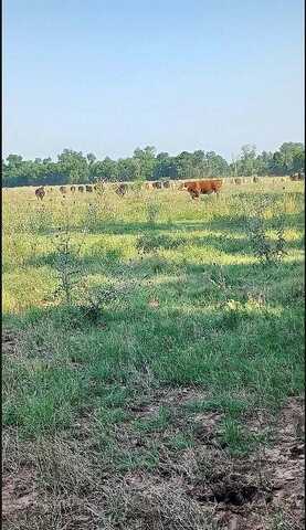 Harding Street, Wichita Falls, TX 76301