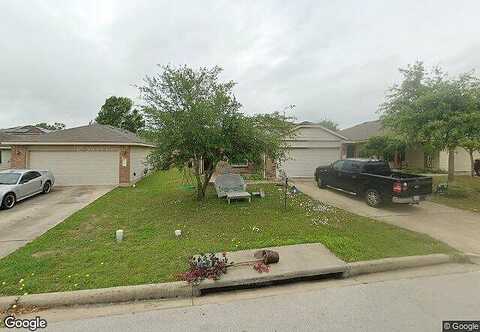 Date Palm, ELGIN, TX 78621