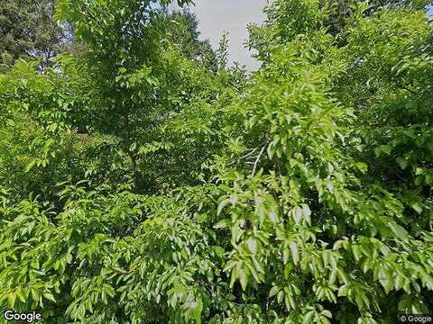 38Th, LAKE FOREST PARK, WA 98155