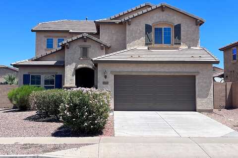 Hedgehog, SURPRISE, AZ 85387