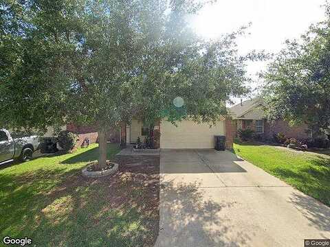 Osprey Landing, HOCKLEY, TX 77447