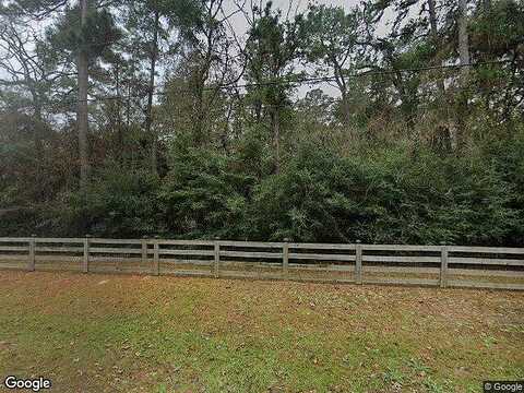 Baneberry, MAGNOLIA, TX 77355