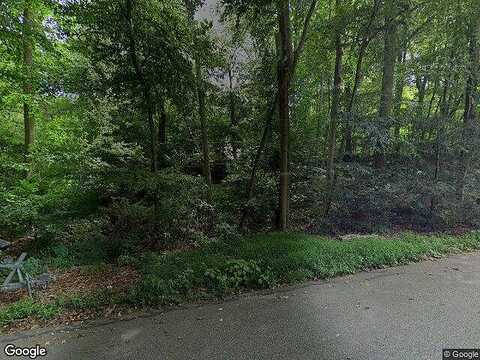 Camelia, HOLTWOOD, PA 17532