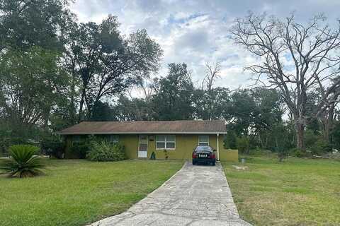 Holly, MOUNT DORA, FL 32757