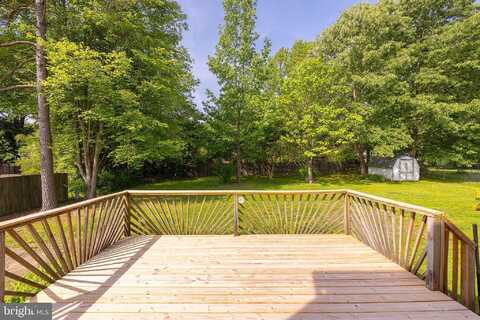 Danube, KING GEORGE, VA 22485