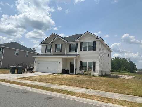 Fridley, HINESVILLE, GA 31313
