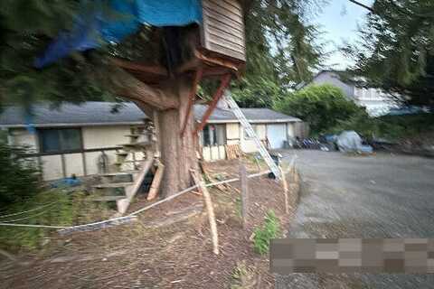 Cottonwood, BREMERTON, WA 98311