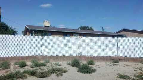 Lizard, ALBUQUERQUE, NM 87121