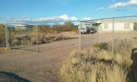 Iguana, TUCSON, AZ 85756