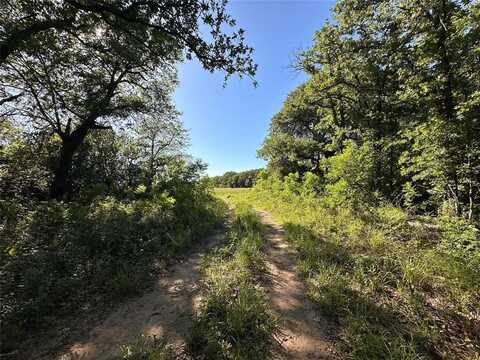 0000 County Road 428, Rising Star, TX 76471