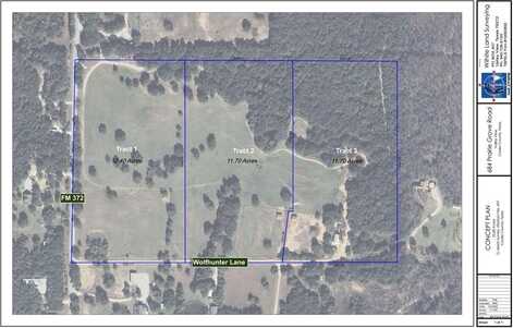 Tract 1 Wolfunter Lane, Valley View, TX 76272