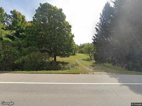 Apple, RAVENNA, MI 49451