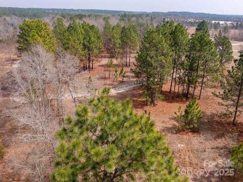 Sandy Dr, Hamlet, NC 28345