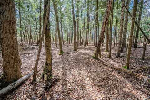 Lot 21 Bonita Point, Eagle River, WI 54521