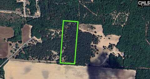 Tract 4 Highway 6, Swansea, SC 29160