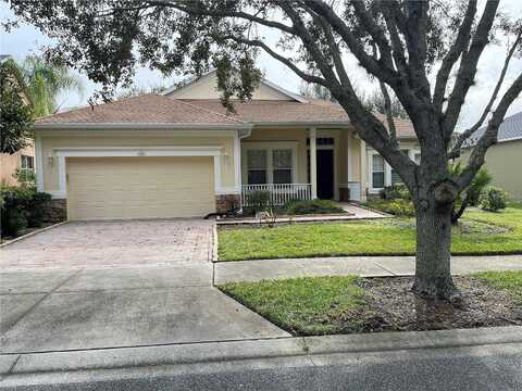 Crepe Myrtle, GROVELAND, FL 34736