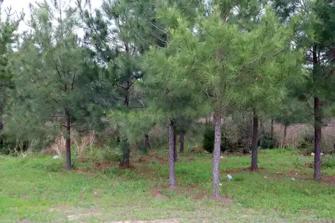 Tbd Pr 6990, Newton, TX 75966