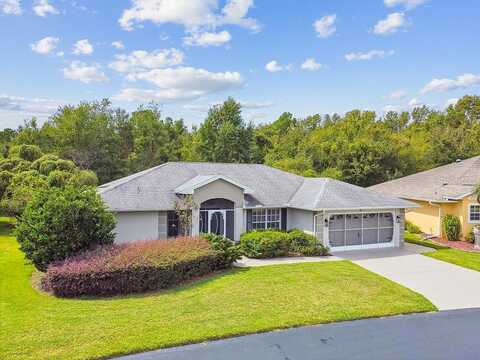 Moshie, SAN ANTONIO, FL 33576