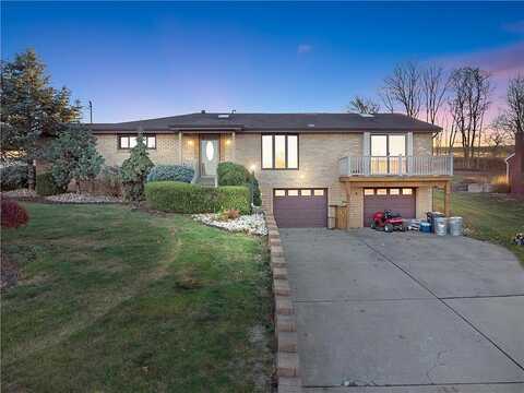 Cecil Henderson, CANONSBURG, PA 15317