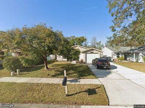 Holly, OLDSMAR, FL 34677