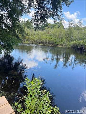 Marlin, FLORAL CITY, FL 34436