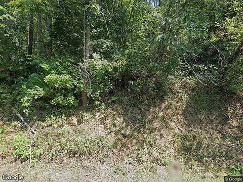Old Hollow, BUCHANAN, VA 24066