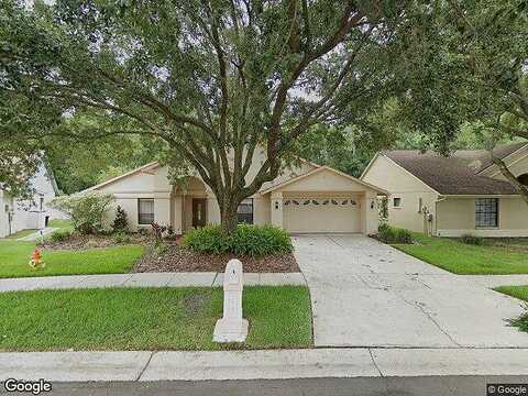 Pebble Glen, TAMPA, FL 33647