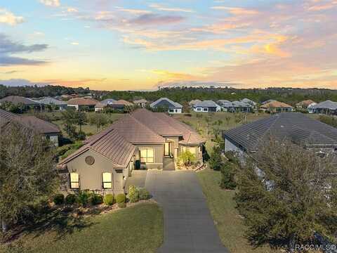 Pointer, HERNANDO, FL 34442