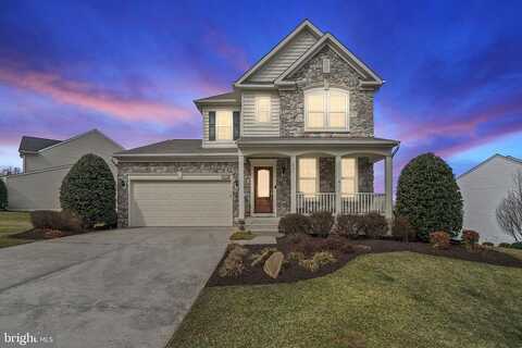 Shetland, CULPEPER, VA 22701