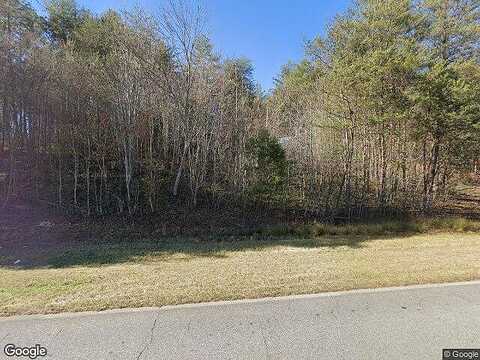 Silver Maple, BLAIRSVILLE, GA 30512