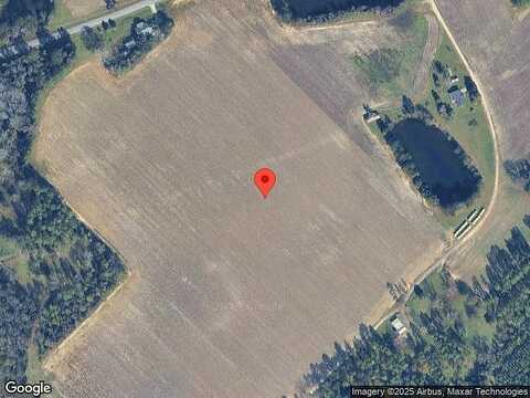 Lilly Barss, HAWKINSVILLE, GA 31036