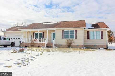 Frogtown, EDINBURG, VA 22824