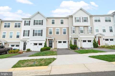 Teagan, FREDERICKSBURG, VA 22408