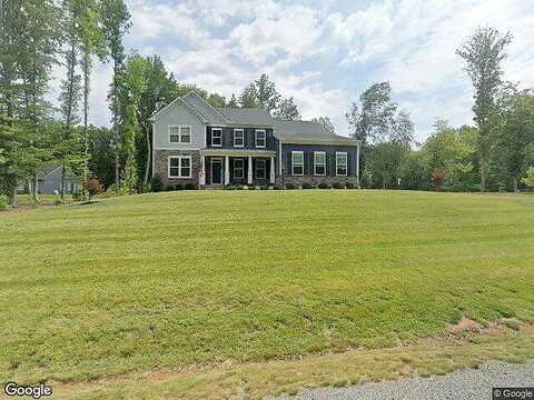 Chimney Swift, FREDERICKSBURG, VA 22406