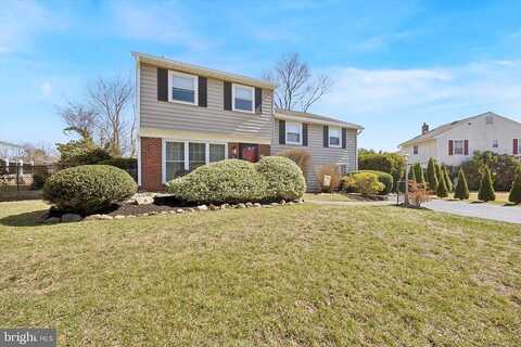Rhoads, SPRINGFIELD, PA 19064