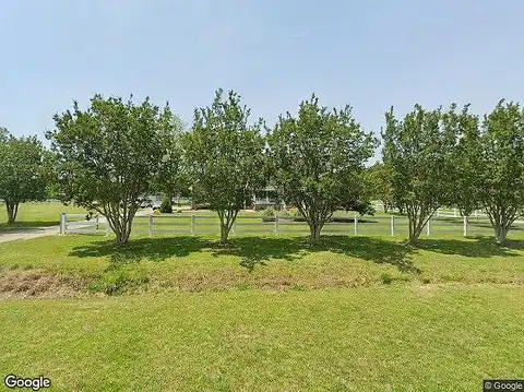 Bunch Walnuts, CHESAPEAKE, VA 23322