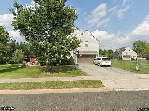 Honeylocust, COLLEGEVILLE, PA 19426