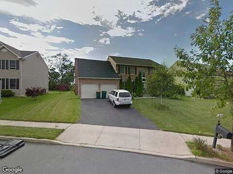 Tulip, EASTON, PA 18045