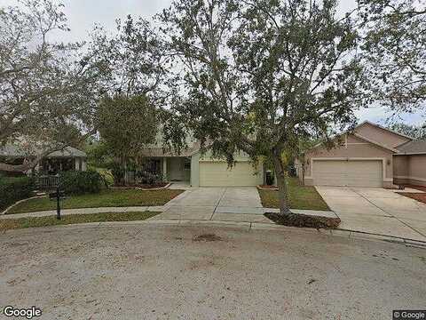 Laurel Brook, RIVERVIEW, FL 33569