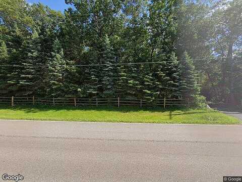 Birch, CIRCLE PINES, MN 55014
