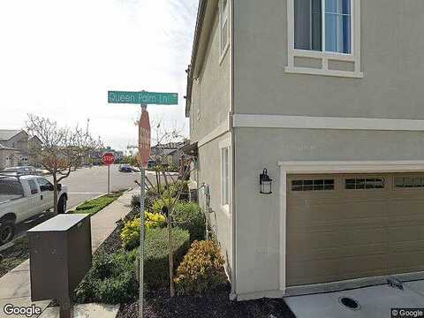 Queen Palm, BRENTWOOD, CA 94513