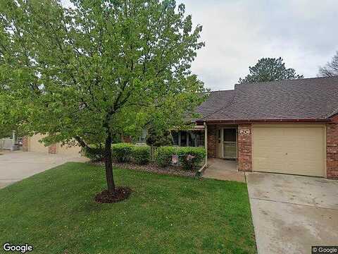 Larkbunting, FORT COLLINS, CO 80526
